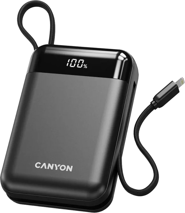 Батарея мобильная Canyon OnPower 204 20000mAh Black (CNS-CPB204B)