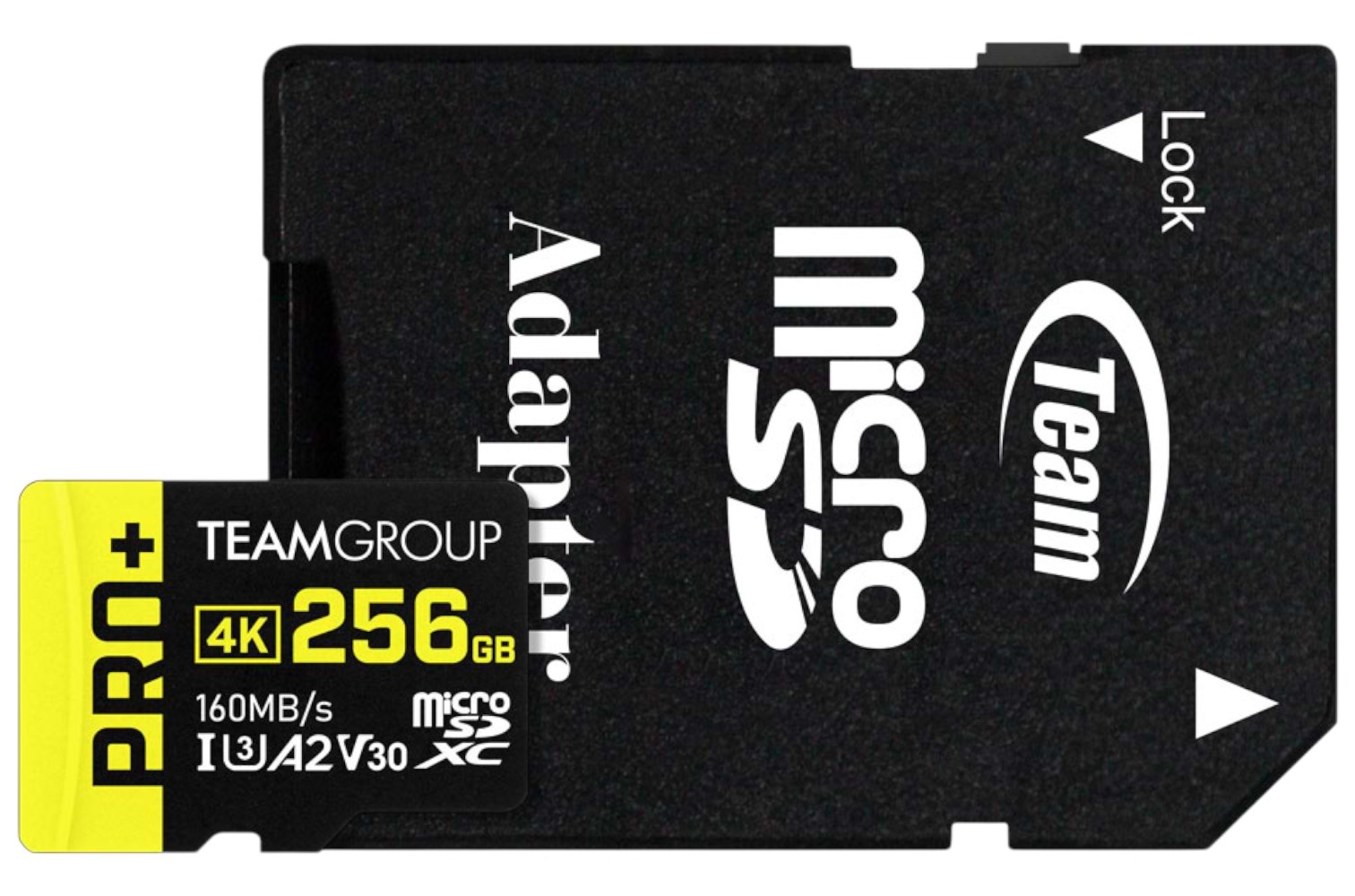 Карта памяти Team PRO+ MICRO SDXC 256GB UHS-I U3 A2 V30 (DDR200) (TPPMSDX256GIA2V3003)