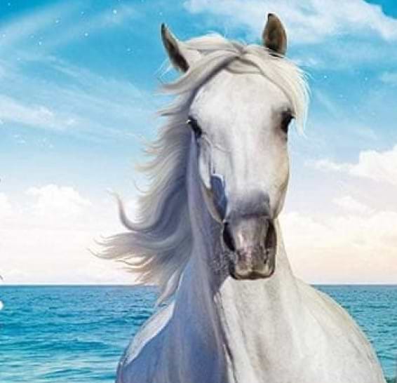 Фото - Пазлы (8+) Trefl "Безумные пазлы" - "Три белых конька"- (600 элм.) (11111)