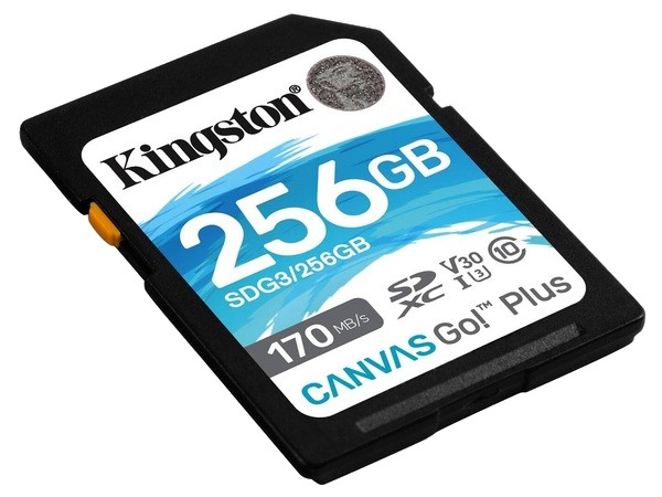 Фото - Карта пам'яті Kingston SDXC 256GB Canvas Go+ C10 UHS-I U3 (SDG3/256GB)