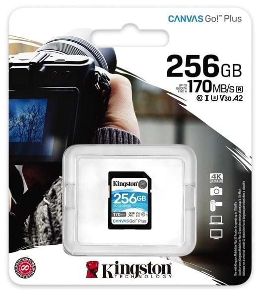 Фото - Карта пам'яті Kingston SDXC 256GB Canvas Go+ C10 UHS-I U3 (SDG3/256GB)