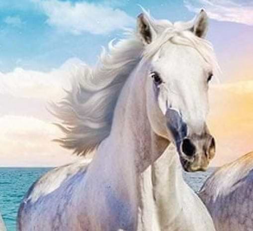 Фото - Пазлы (8+) Trefl "Безумные пазлы" - "Три белых конька"- (600 элм.) (11111)