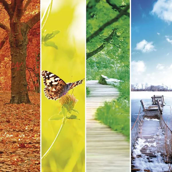 Фото - Термогигрометр Emos E0345