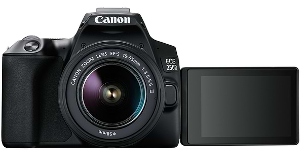 Фото - Фотокамера дзеркальна Canon EOS 250D kit 18-55 DC III Black (3454C009)