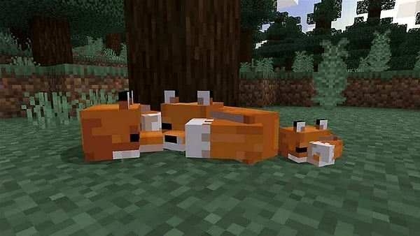 Фото - Игровой диск PS4 Minecraft. PlayStation 4 Edition
