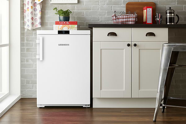 Фото - Морозильная камера Liebherr FNe 1404