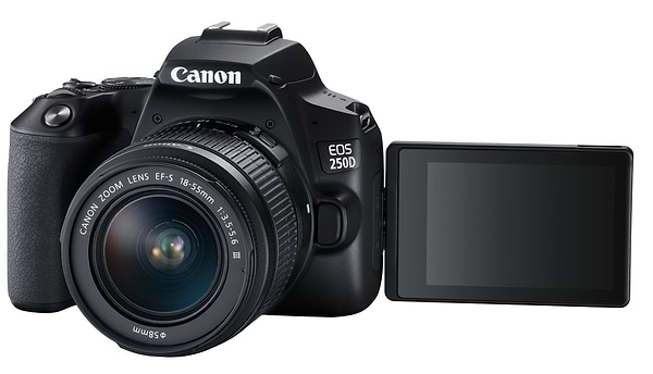 Фото - Фотокамера дзеркальна Canon EOS 250D kit 18-55 DC III Black (3454C009)