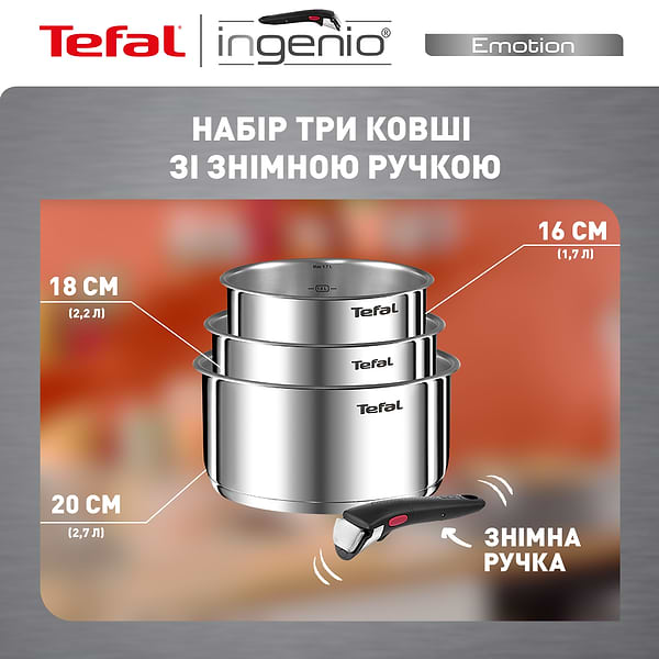 Фото - Набор посуды со съемной ручкой Tefal L8964S55 Ingenio Emotion 4 пр