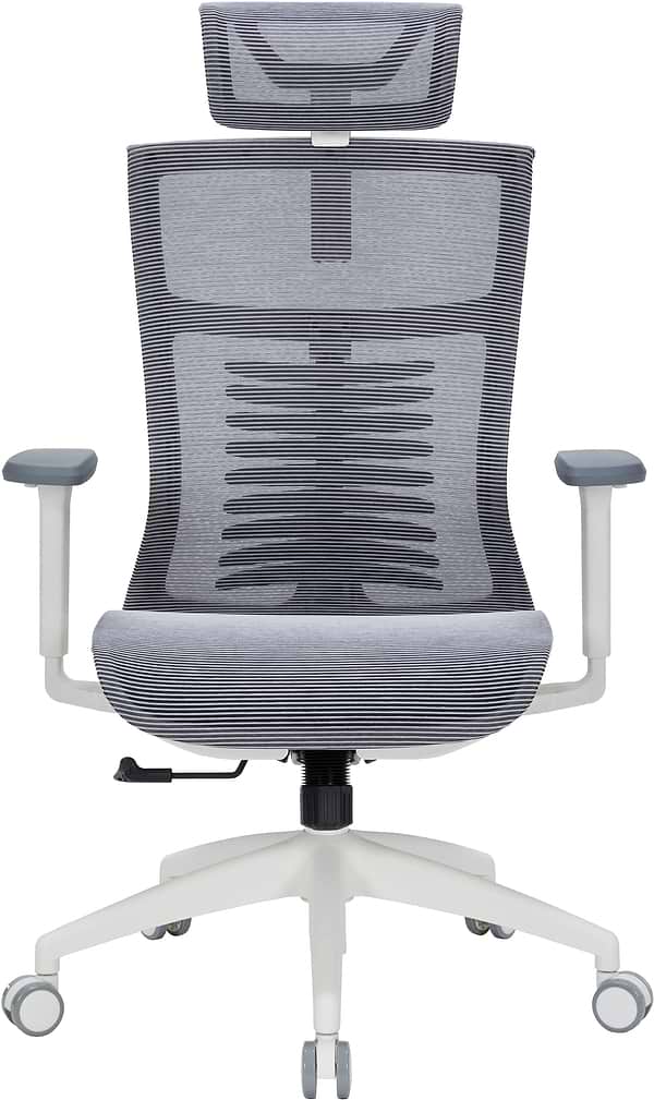 Фото - Кресло офисное OfficePro Balance (OC620-W-DG-DG) White/Dark Gray