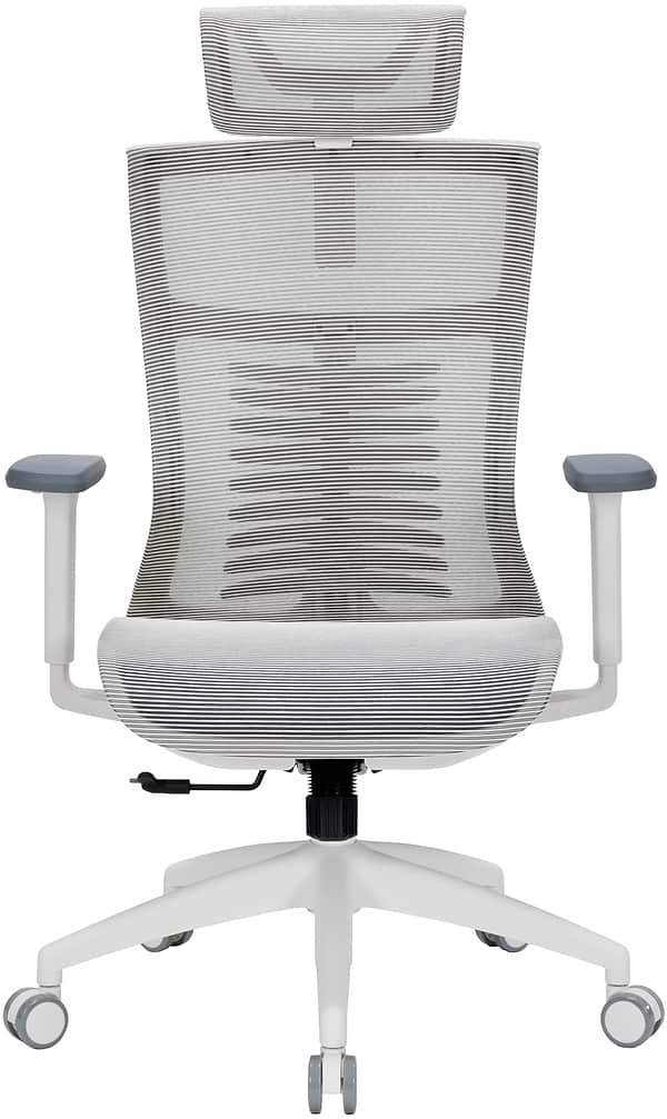 Фото - Кресло офисное OfficePro Balance (OC620-W-LG-LG) White/Light Gray