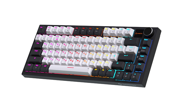 Фото - Клавиатура беспроводная игровая GamePro Asgard Valhalla Pro 75% Wireless/Bluetooth/USB White (MK160W-D-Pro)