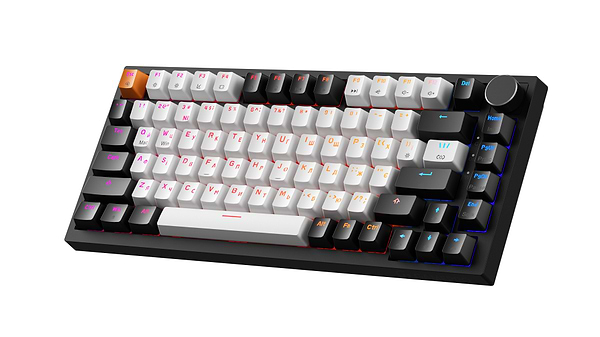 Фото - Клавиатура проводная игровая GamePro Asgard Valhalla Max Magnetic Switches USB Black (MK160B MAX)