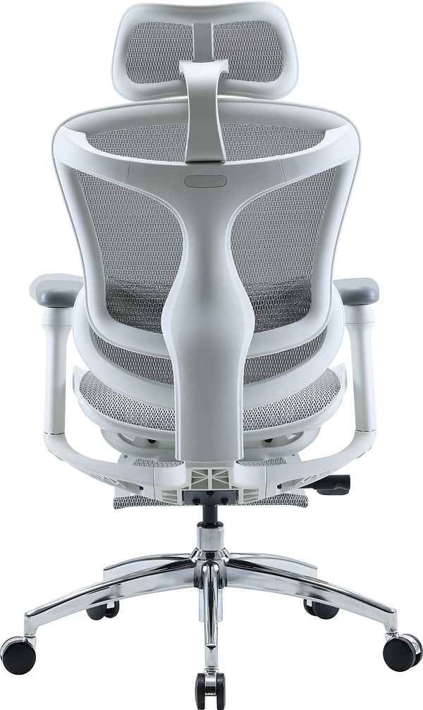 Фото - Кресло офисное Sihoo DORO C300L Mesh White with footrest (DORO-C300L-A3-102-JT)