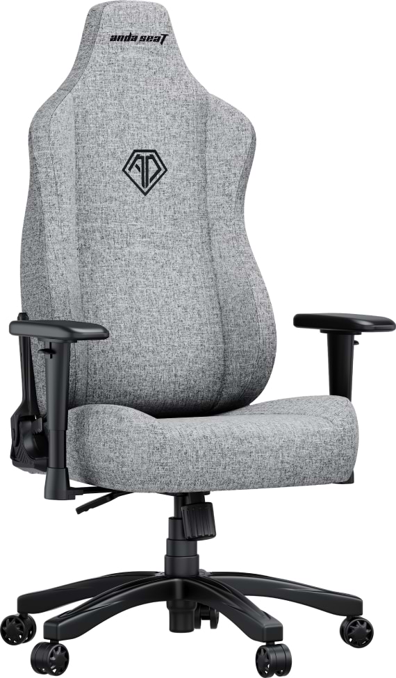 Фото - Крісло для геймерів Anda Seat Novis Size L Gray Fabric (AD23-L-01-G-F)