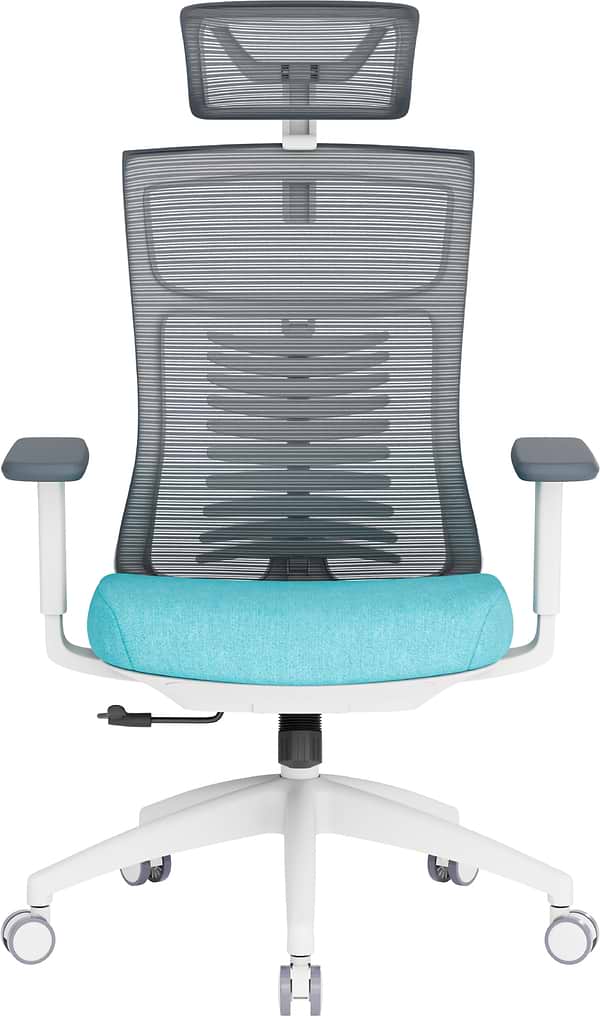 Фото - Крісло офісне OfficePro Balance (OC550-W-DG-BL) White/Dark Gray/Blue