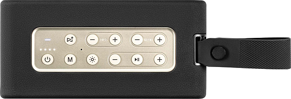 Фото - Портативная акустика 2E SoundLegend Black (2E-BSSLWBK)