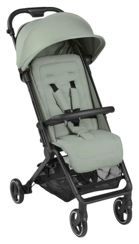 Фото - Коляска прогулочная ABC Design Ping 2 Pine