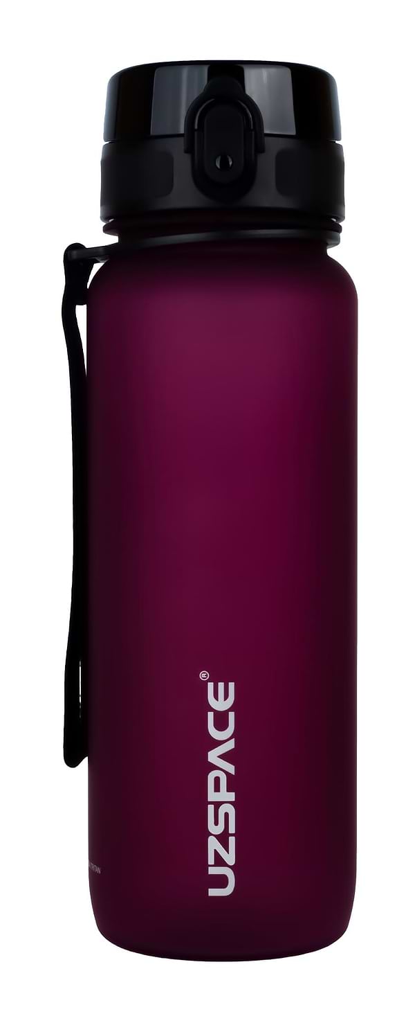 Фото - Пляшка для води UZspace 3053 Frosted 800 мл бордова