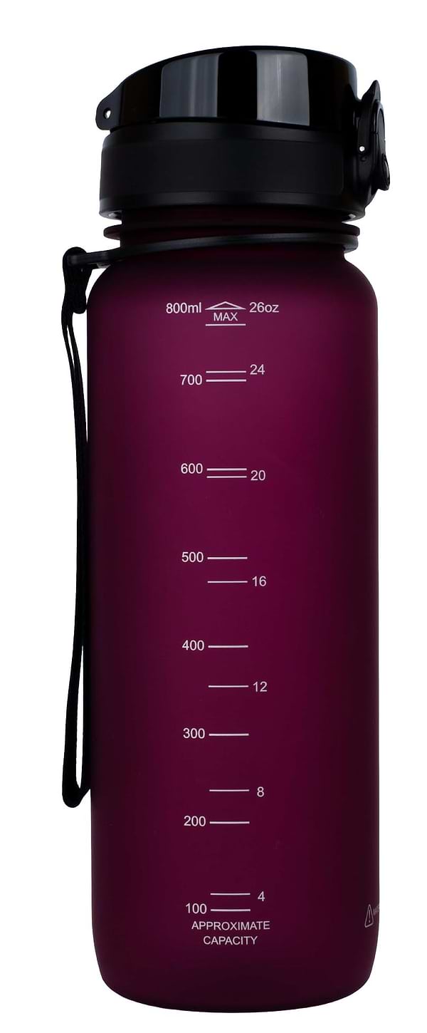 Фото - Пляшка для води UZspace 3053 Frosted 800 мл бордова