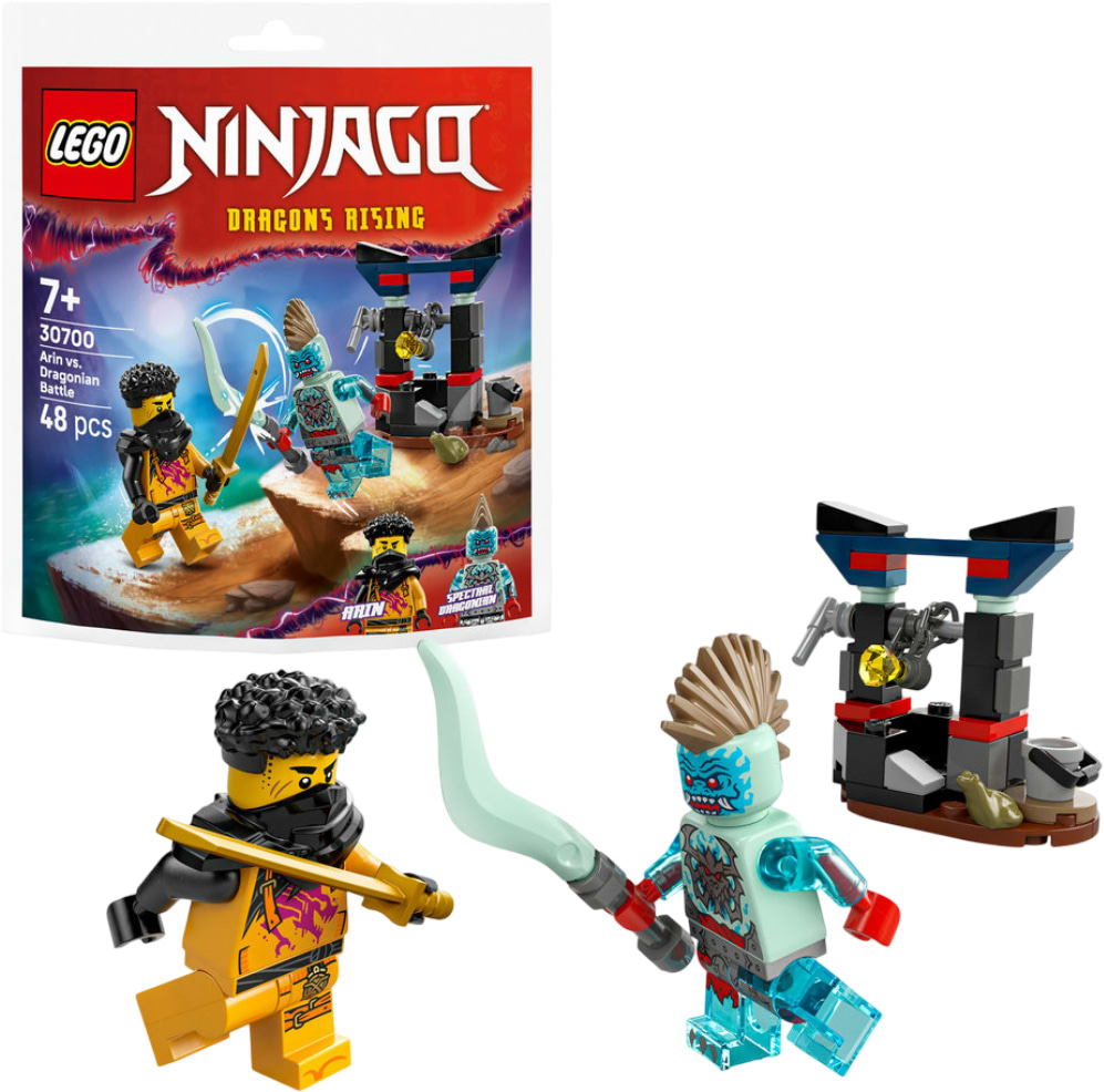 Конструктор LEGO Ninjago Арін проти Дракона: Битва (30700)