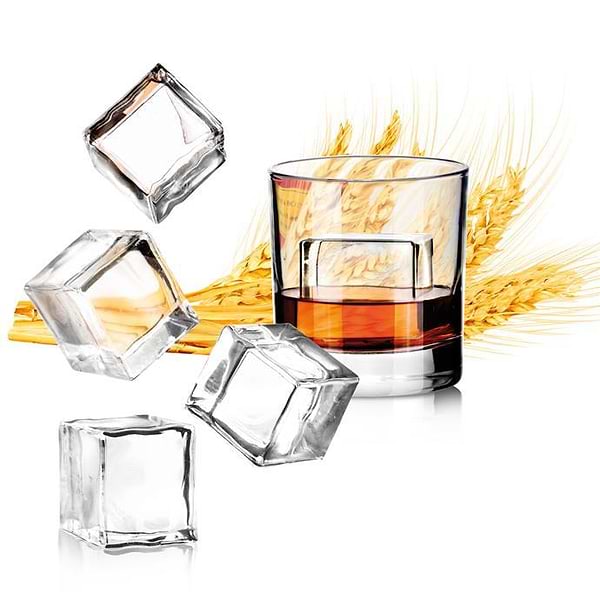 Фото - Форма для льоду tescoma 308904 myDRINK