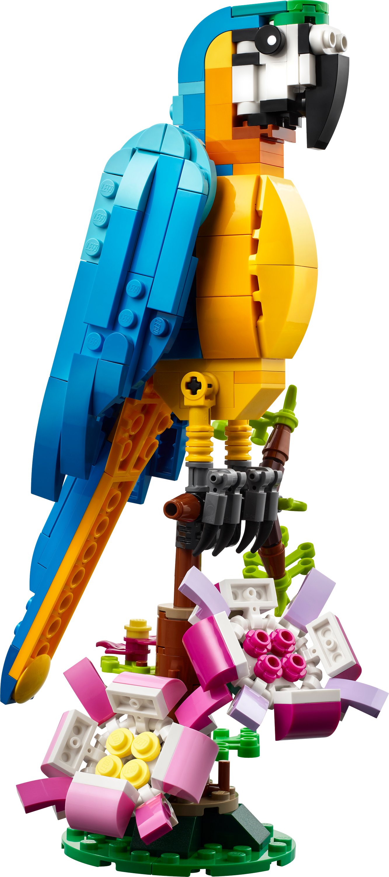 Фото - Конструктор LEGO Creator Экзотический попугай (31136)