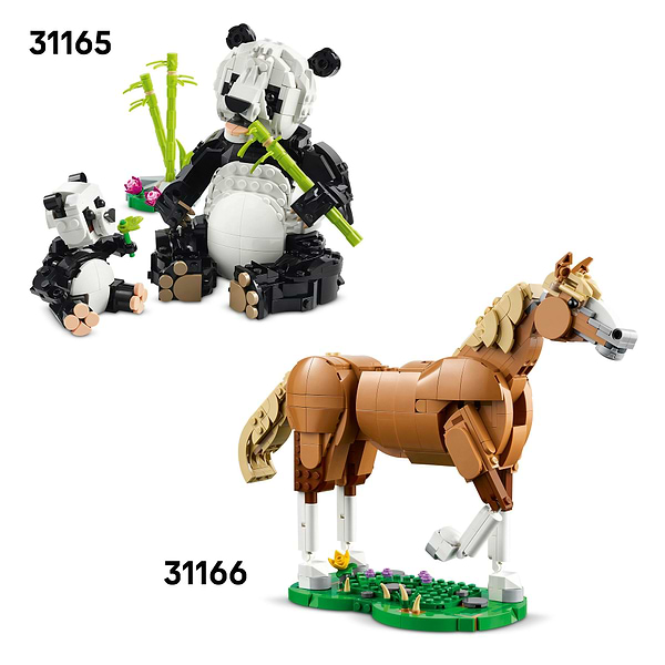 Фото - Конструктор LEGO Creator Дикие животные: тропический тукан (31173)