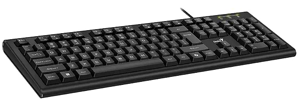 Фото - Клавіатура дротова Genius KB-113 Black (31300018407)