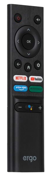 Фото - Телевізор Ergo 40GFS5500