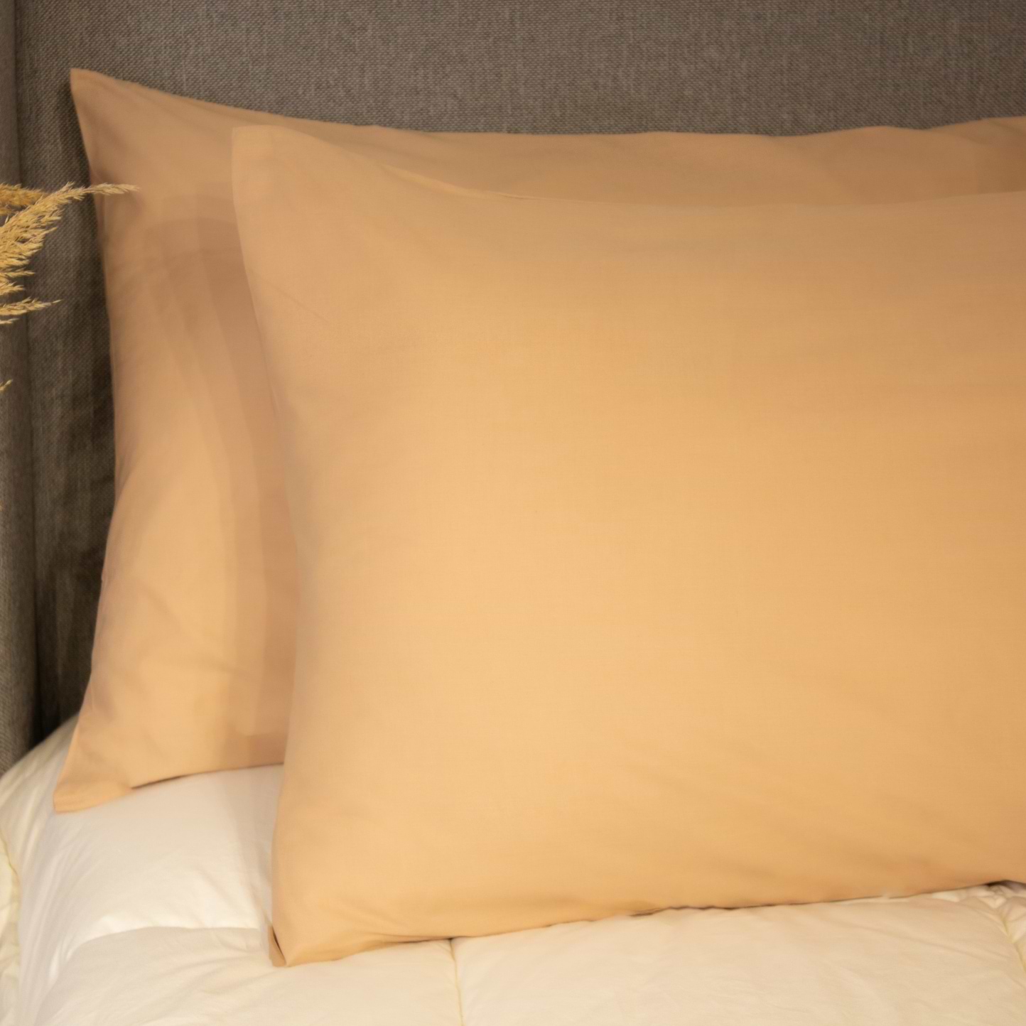 Наволочка ТЕП 50х70 см Coffe 2 шт. (2-03861_28295)