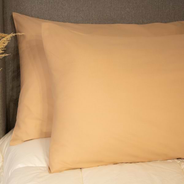 Фото - Наволочка ТЕП 50х70 см Coffe 2 шт. (2-03861_28295)