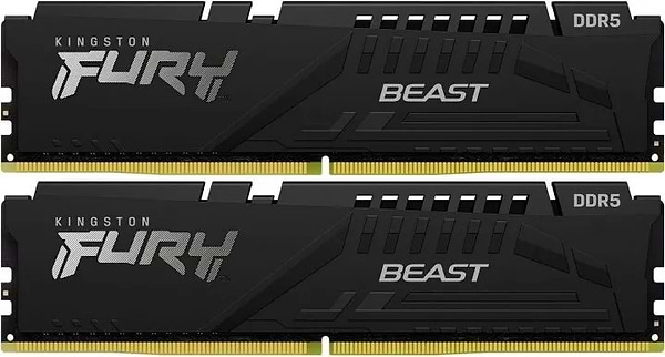Фото - Память DDR Kingston DDR5 16GB KIT 5600 FURY Beast Black (KF556C40BBK2-16)