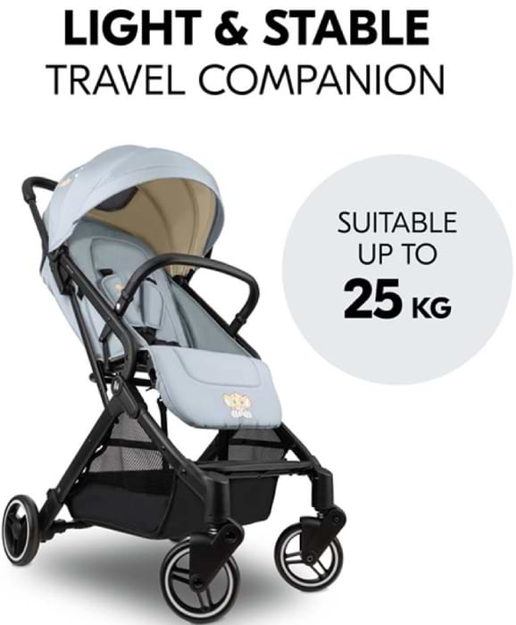 Фото - Коляска прогулянкова HAUCK Travel N Care Simba