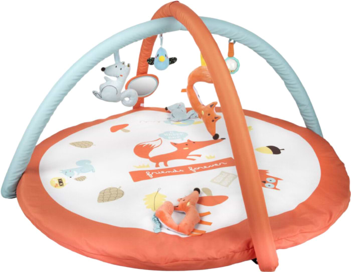 Розвиваючий килимок Canpol babies FOX (75/200) - Фото 1