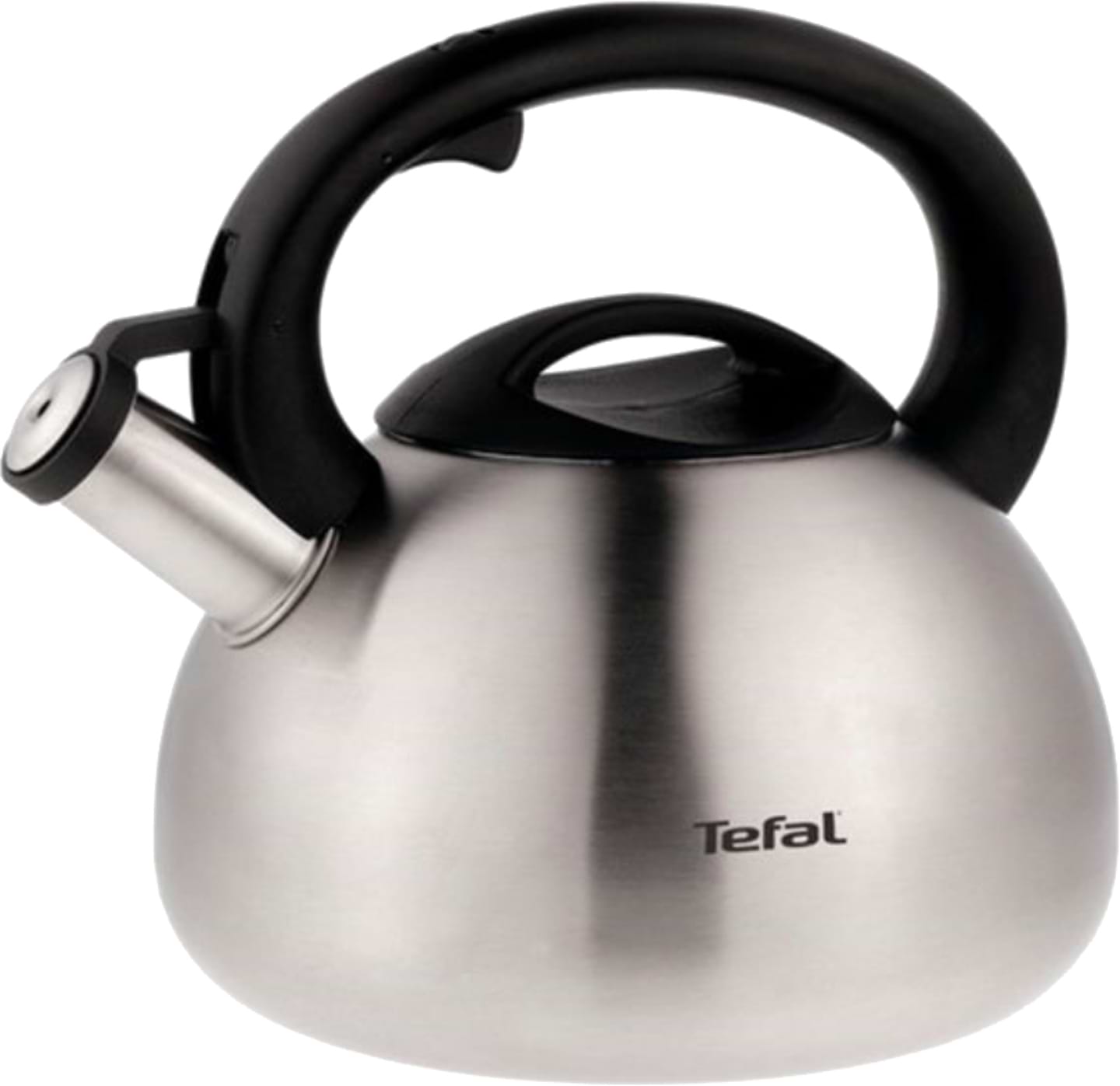 Чайник металевий Tefal N4180217 2,5 л - Фото 1