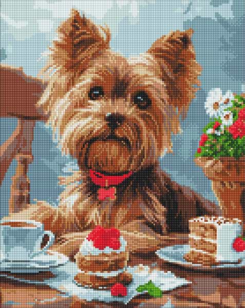 Алмазний живопис Ideyka Чаювання йорка 40х50 см (AMO8042)