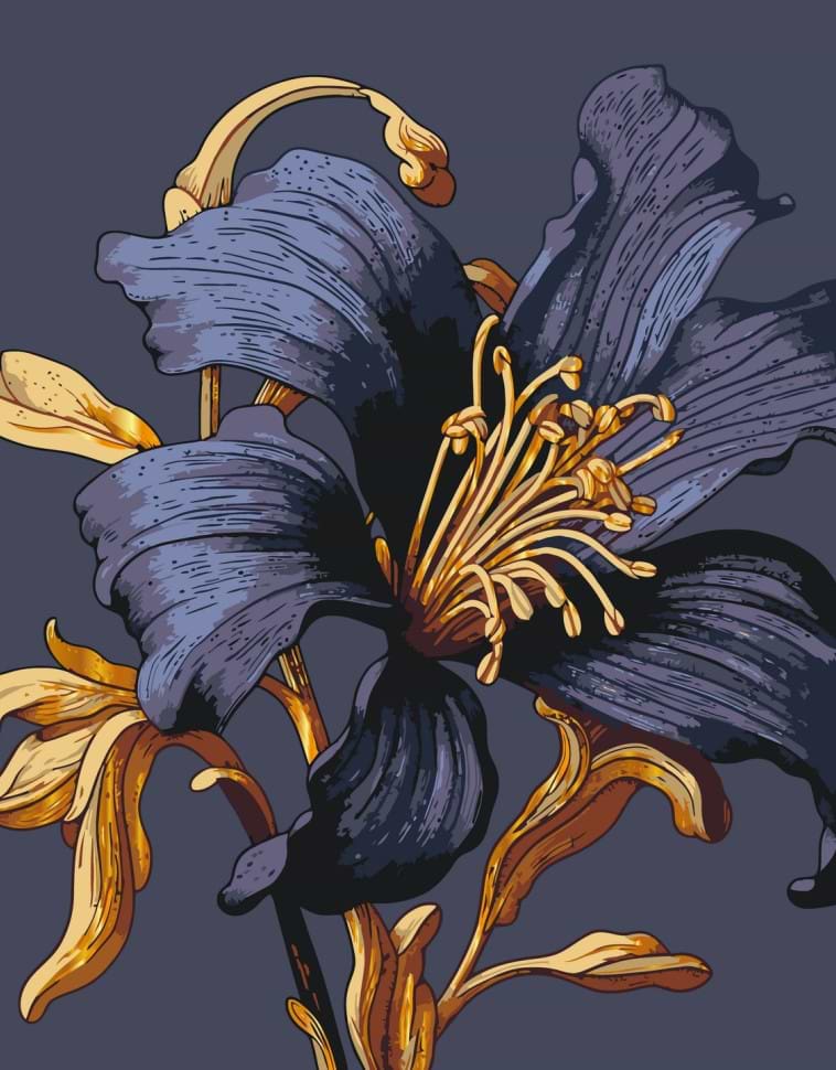 Картина по номерам ArtCraft Таинственная лилия с металлизированными красками 40х50 см (13151-AC)