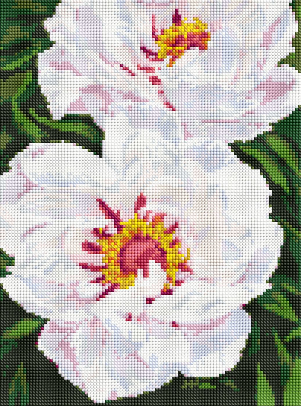 Алмазная живопись Ideyka Белые пионы 30х40 см (AMO7753)