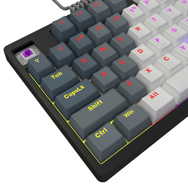 Фото - Клавиатура проводная игровая Lorgar Azar 514TKL EN/UA Mechanical RGB White (LRG-GK514TKL-WH-UA)