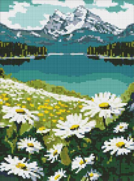 Алмазная живопись Ideyka Цветущие ромашки 30х40 см (AMO7803)