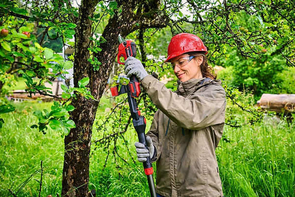 Фото - Секатор аккумуляторный Einhell Professional GP-LS 18/28 Li T BL - Solo PXC 18В (3408330)