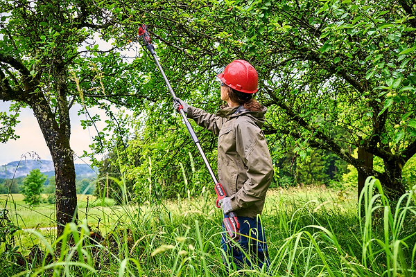 Фото - Секатор аккумуляторный Einhell Professional GP-LS 18/28 Li T BL - Solo PXC 18В (3408330)