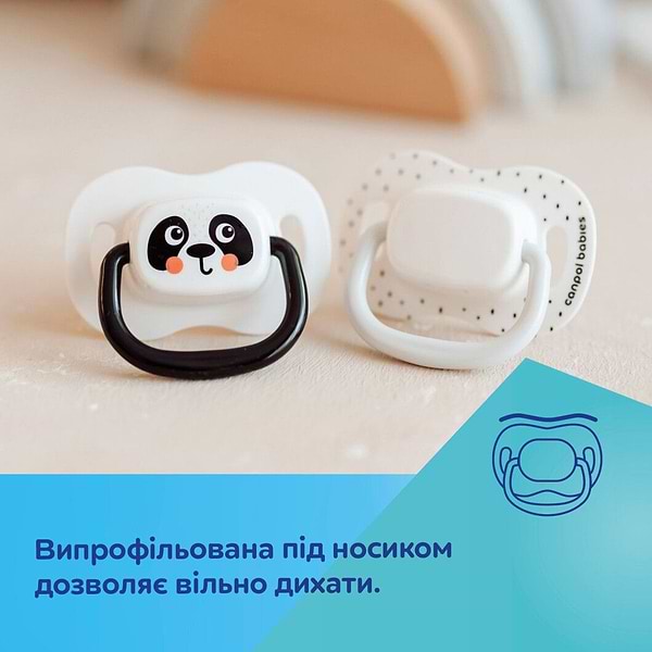 Фото - Симметричная пустышка Canpol babies BabiesBoo 6-18 мес 2 шт. белая (34/928_whi)