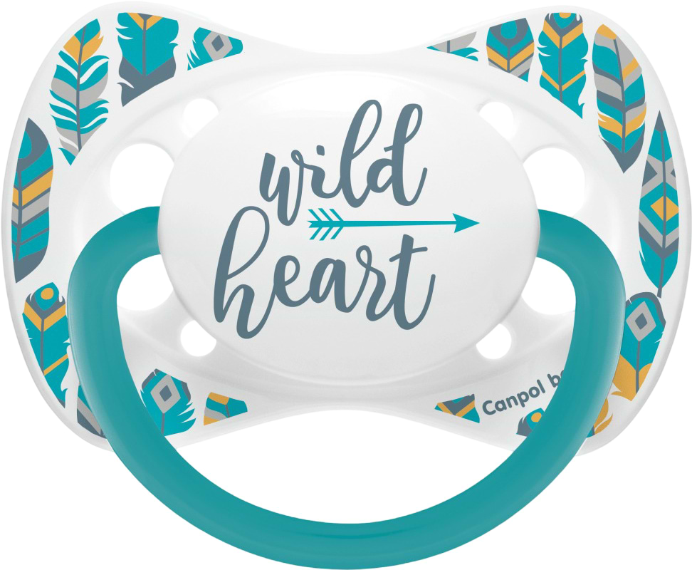 Симметричная пустышка Canpol babies Wild Nature 0-6 мес бирюзовая (23/288_tur)