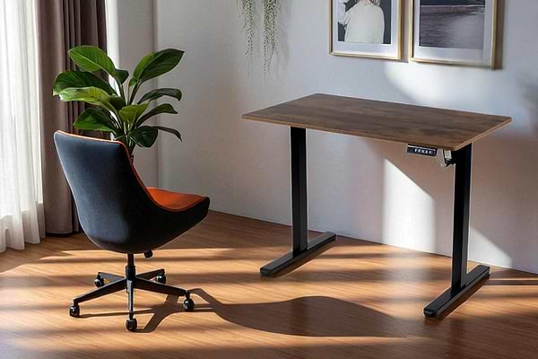 Фото - Стіл з електрорегулюванням висоти Barsky StandUp Home Black (BSTh-01)