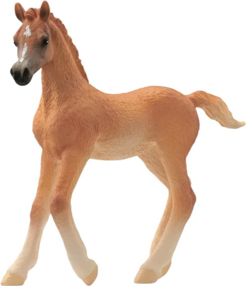 Фото - Колекційна фігурка Schleich Арабське лоша (13984)