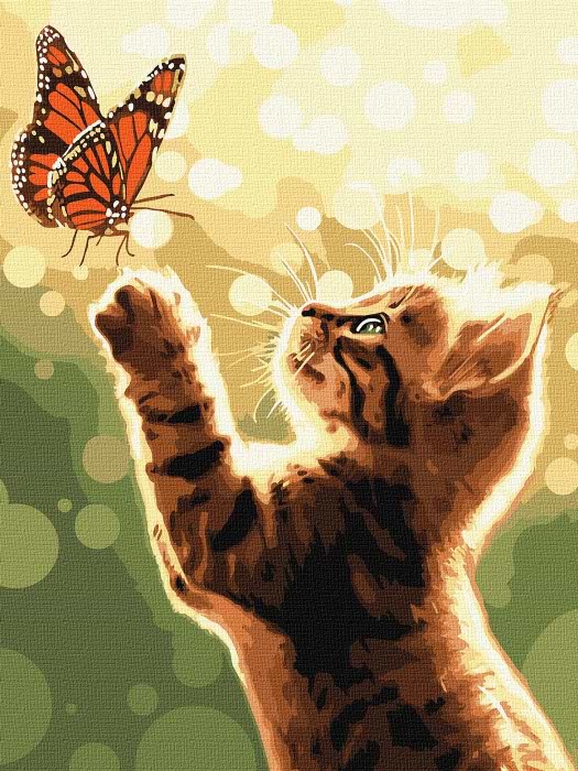 Картина по номерам Ideyka Кот и бабочка 30х40 см (KHO6615)