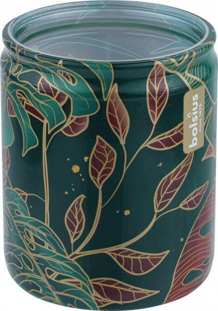 Купити Свічка скло Bolsius Leaves 82/68, аромат манго (159670) - Фото 1 Свічка скло Bolsius Leaves 82/68, аромат манго (159670) - Фото 1