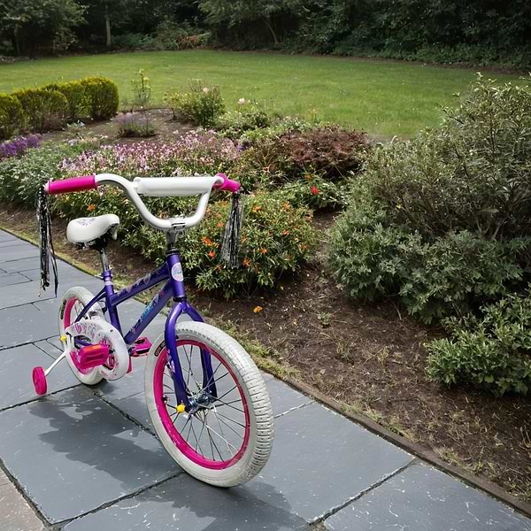 Фото - Двоколісний велосипед X-Treme CHERRY 25.16-01 Violet