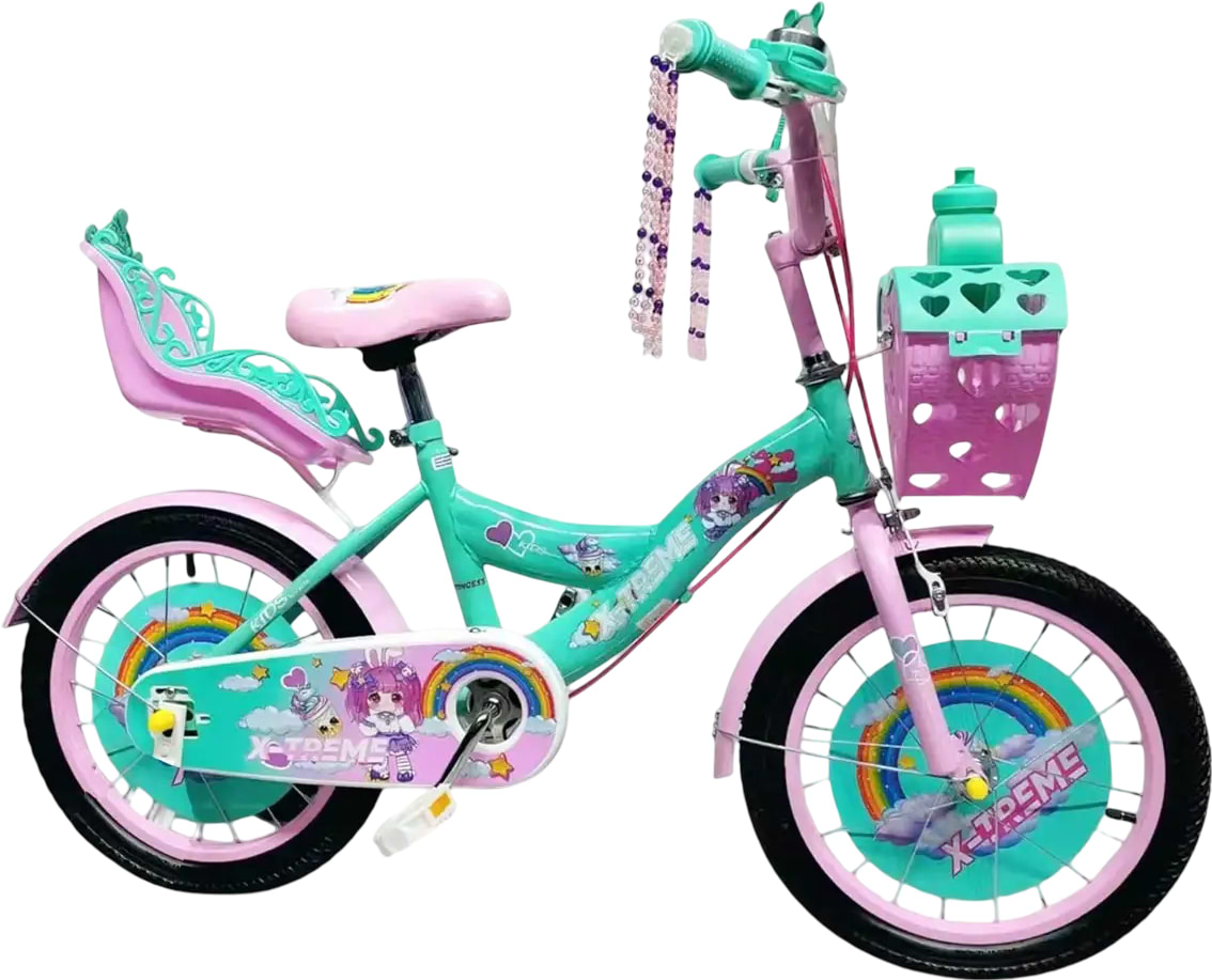 Двухколёсный велосипед X-Treme PRINCESS 25.20-05 Green/Pink